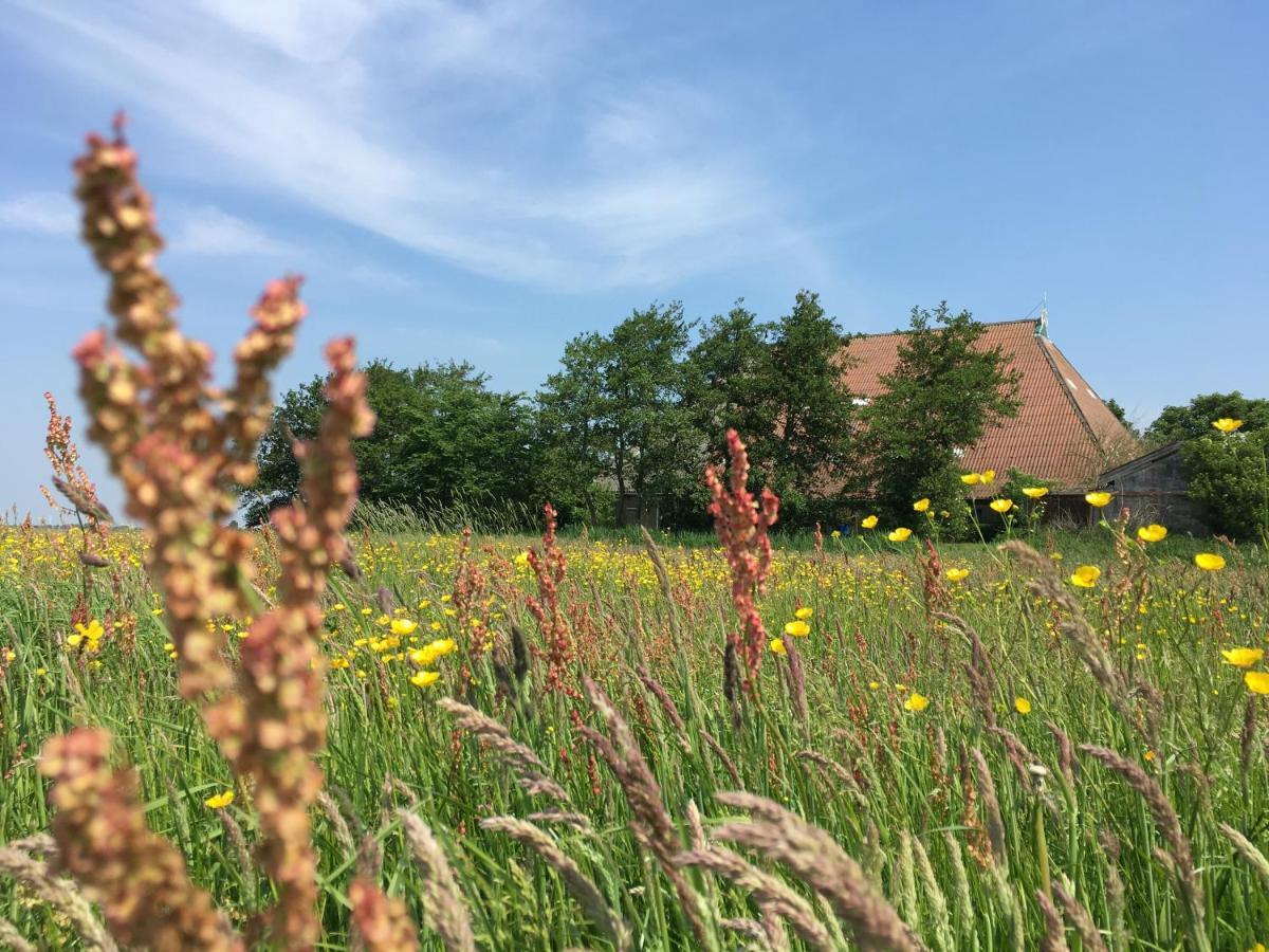 B&B Boerderij De Tempel Greonterp Bagian luar foto