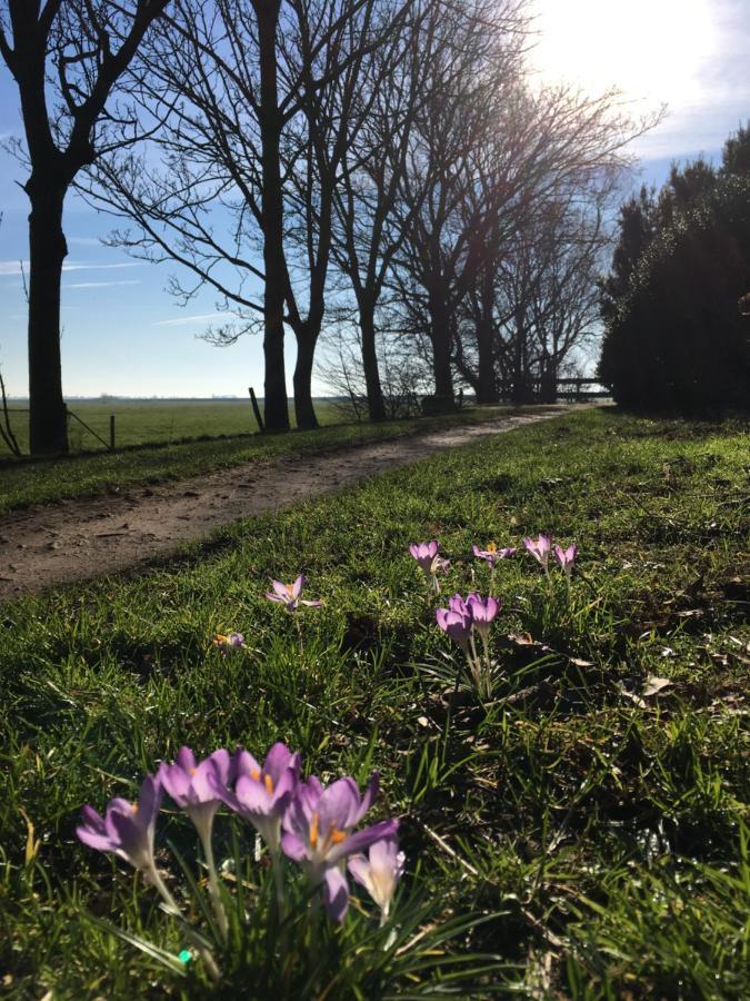 B&B Boerderij De Tempel Greonterp Bagian luar foto