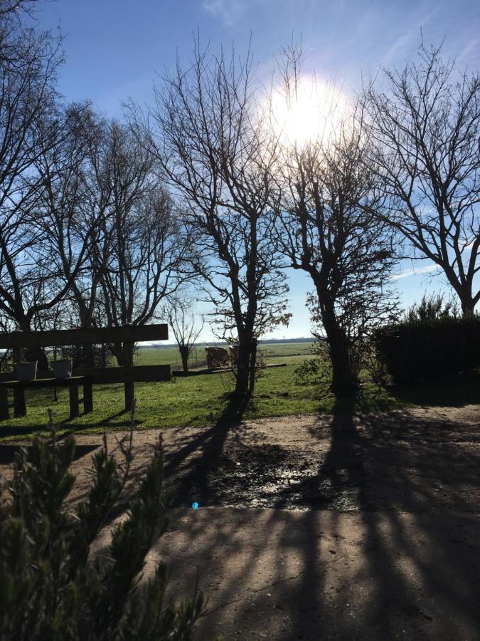 B&B Boerderij De Tempel Greonterp Bagian luar foto